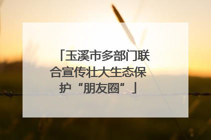 玉溪市多部门联合宣传壮大生态保护“朋友圈”