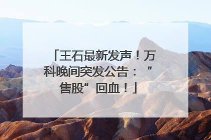王石最新发声！万科晚间突发公告：“售股”回血！
