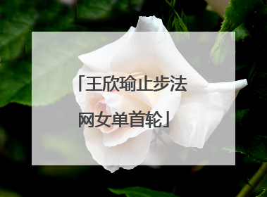 王欣瑜止步法网女单首轮