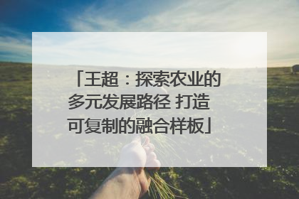 王超：探索农业的多元发展路径 打造可复制的融合样板