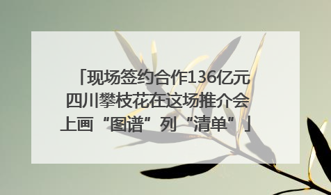 现场签约合作136亿元 四川攀枝花在这场推介会上画“图谱”列“清单”