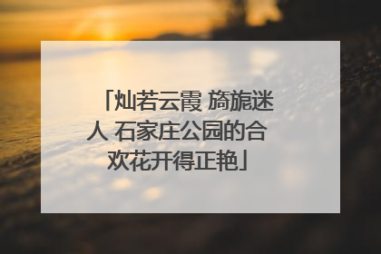 灿若云霞 旖旎迷人 石家庄公园的合欢花开得正艳
