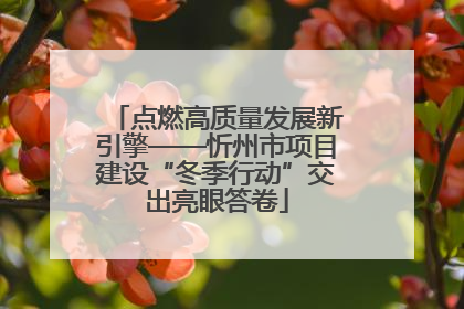 点燃高质量发展新引擎——忻州市项目建设“冬季行动”交出亮眼答卷