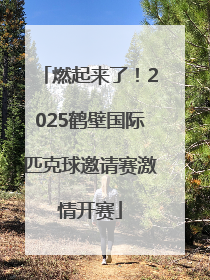 燃起来了！2025鹤壁国际匹克球邀请赛激情开赛