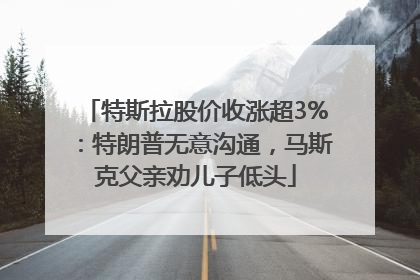 特斯拉股价收涨超3%：特朗普无意沟通，马斯克父亲劝儿子低头