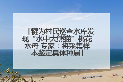 犍为村民巡查水库发现“水中大熊猫”桃花水母 专家：将采集样本鉴定具体种属