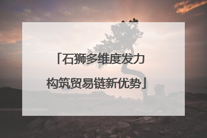 石狮多维度发力 构筑贸易链新优势