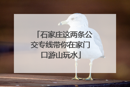 石家庄这两条公交专线带你在家门口游山玩水