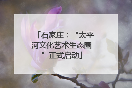 石家庄：“太平河文化艺术生态圈”正式启动