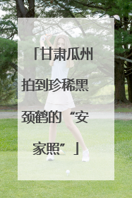 甘肃瓜州拍到珍稀黑颈鹤的“安家照”