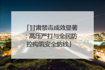 甘肃禁毒成效显著：高压严打与全民防控构筑安全防线