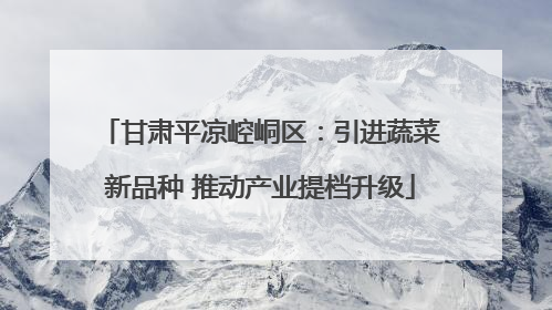 甘肃平凉崆峒区：引进蔬菜新品种 推动产业提档升级
