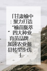 甘肃榆中：聚力打造“榆苗陇萃”四大种业育苗品牌 加速农业强县转型步伐