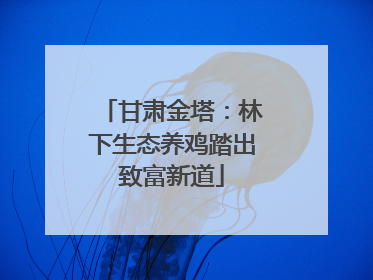 甘肃金塔：林下生态养鸡踏出致富新道