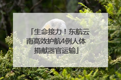 生命接力！东航云南高效护航4例人体捐献器官运输