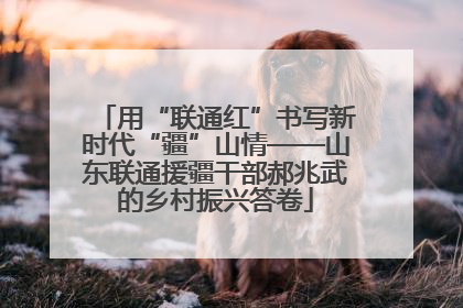 用“联通红”书写新时代“疆”山情——山东联通援疆干部郝兆武的乡村振兴答卷