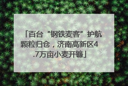 百台“钢铁麦客”护航颗粒归仓，济南高新区4.7万亩小麦开镰
