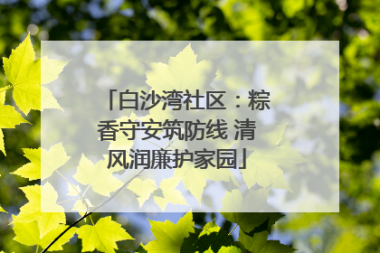 白沙湾社区：粽香守安筑防线 清风润廉护家园
