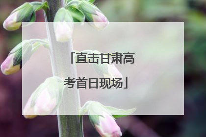 直击甘肃高考首日现场