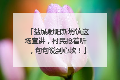 盐城射阳新坍镇这场宣讲，村民抢着听，句句说到心坎！