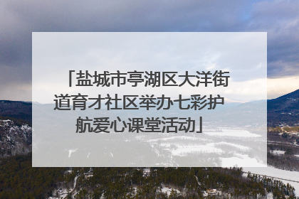 盐城市亭湖区大洋街道育才社区举办七彩护航爱心课堂活动