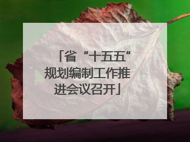 省“十五五”规划编制工作推进会议召开