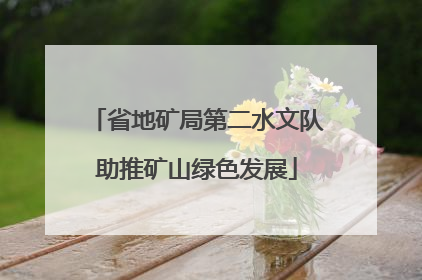省地矿局第二水文队助推矿山绿色发展