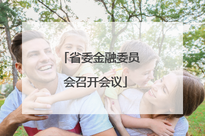 省委金融委员会召开会议