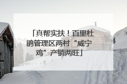 真帮实扶！百里杜鹃管理区两村“威宁鸡”产销两旺