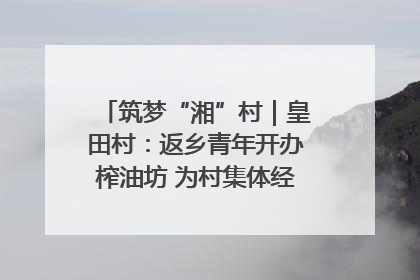 筑梦“湘”村｜皇田村：返乡青年开办榨油坊 为村集体经济“加油”