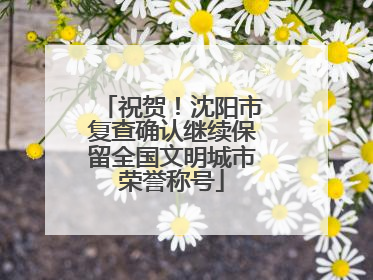 祝贺！沈阳市复查确认继续保留全国文明城市荣誉称号
