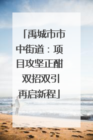 禹城市市中街道：项目攻坚正酣 双招双引再启新程