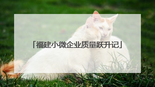 福建小微企业质量跃升记