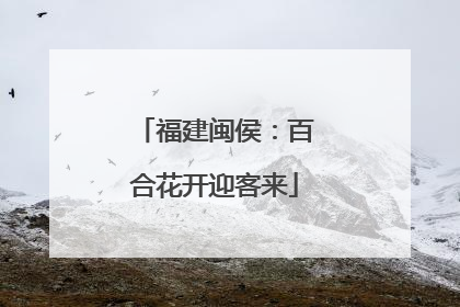 福建闽侯：百合花开迎客来