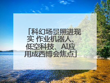科幻场景照进现实 作业机器人、低空科技、AI应用成西博会焦点