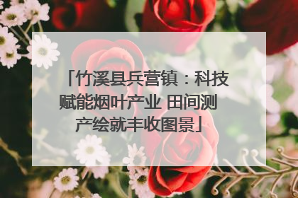 竹溪县兵营镇：科技赋能烟叶产业 田间测产绘就丰收图景