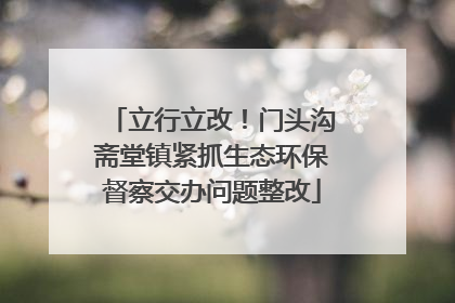 立行立改！门头沟斋堂镇紧抓生态环保督察交办问题整改