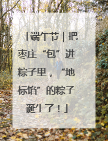 端午节｜把枣庄“包”进粽子里，“地标馅”的粽子诞生了！