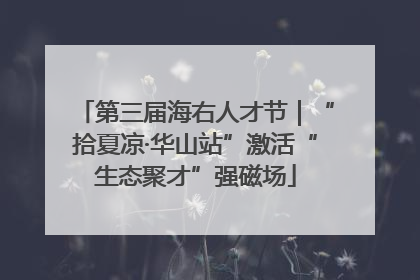 第三届海右人才节｜“拾夏凉·华山站”激活“生态聚才”强磁场