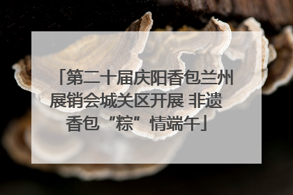 第二十届庆阳香包兰州展销会城关区开展 非遗香包“粽”情端午