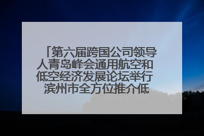 第六届跨国公司领导人青岛峰会通用航空和低空经济发展论坛举行 滨州市全方位推介低空经济发展优势