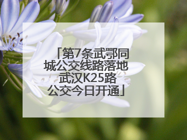 第7条武鄂同城公交线路落地 武汉K25路公交今日开通