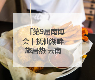 第9届南博会｜抚仙湖畔旅居热 云南生活新样本