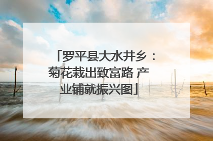 罗平县大水井乡：菊花栽出致富路 产业铺就振兴图