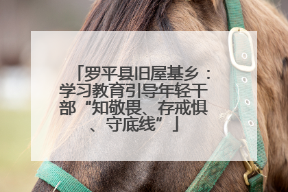 罗平县旧屋基乡：学习教育引导年轻干部“知敬畏、存戒惧、守底线”