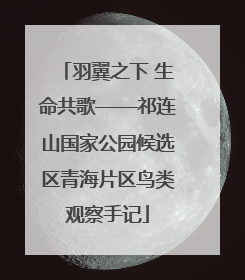 羽翼之下 生命共歌——祁连山国家公园候选区青海片区鸟类观察手记