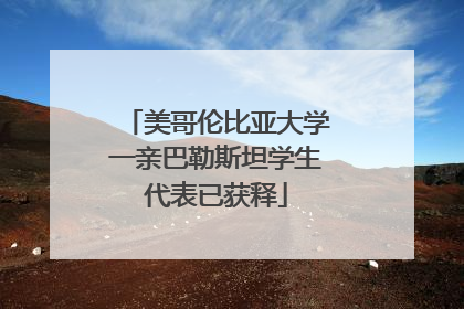 美哥伦比亚大学一亲巴勒斯坦学生代表已获释