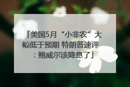 美国5月“小非农”大幅低于预期 特朗普速评：鲍威尔该降息了