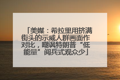 美媒：希拉里用挤满街头的示威人群画面作对比，嘲讽特朗普“低能量”阅兵式观众少