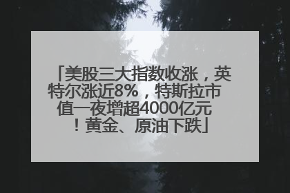 美股三大指数收涨，英特尔涨近8%，特斯拉市值一夜增超4000亿元！黄金、原油下跌